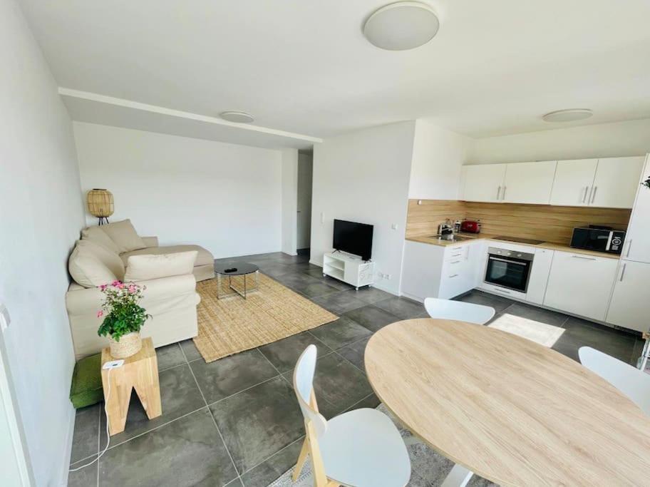 Apartment Large 1 Bedroom In Center With Terrace&parking-67b
